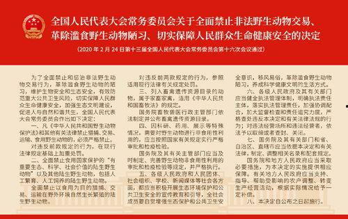 爆料热线 2025十大社会热点事件,揭秘时代脉搏下的社会变迁